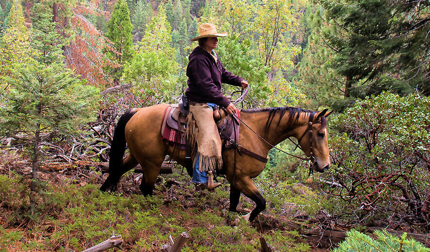 Horseback Riding Tours | Yosemite Trails Horseback Adventures